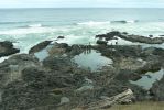 PICTURES/Oregon Coast Road - Cape Perpetua/t_Tide Pools _7.JPG